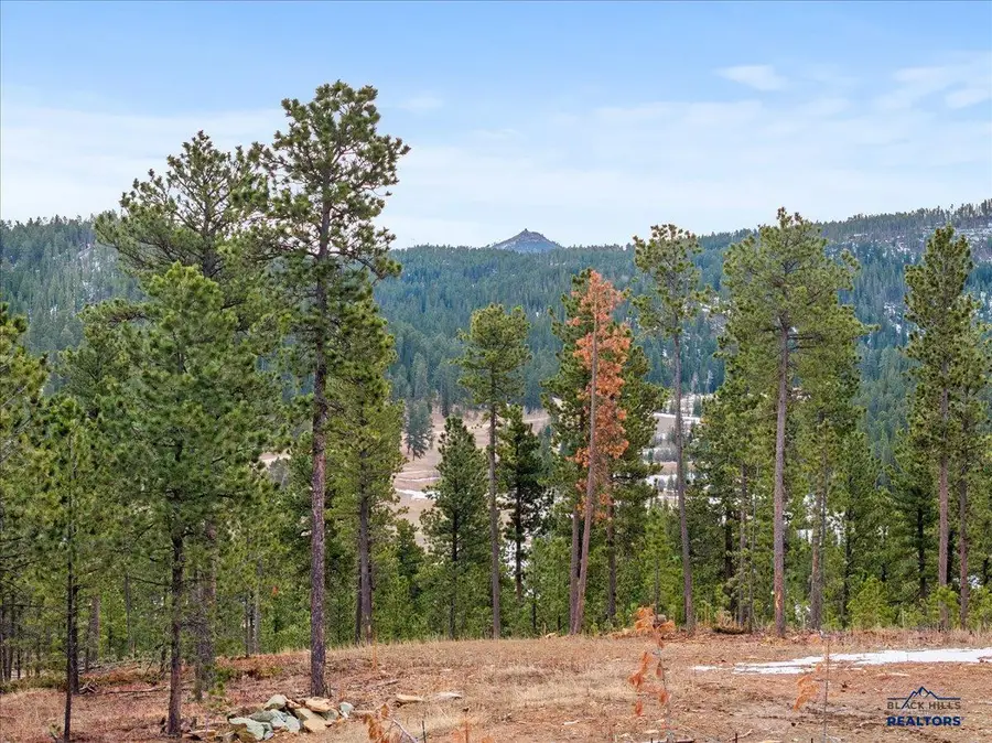 Lot 10 Other, Lead, SD 57754 - Image #3