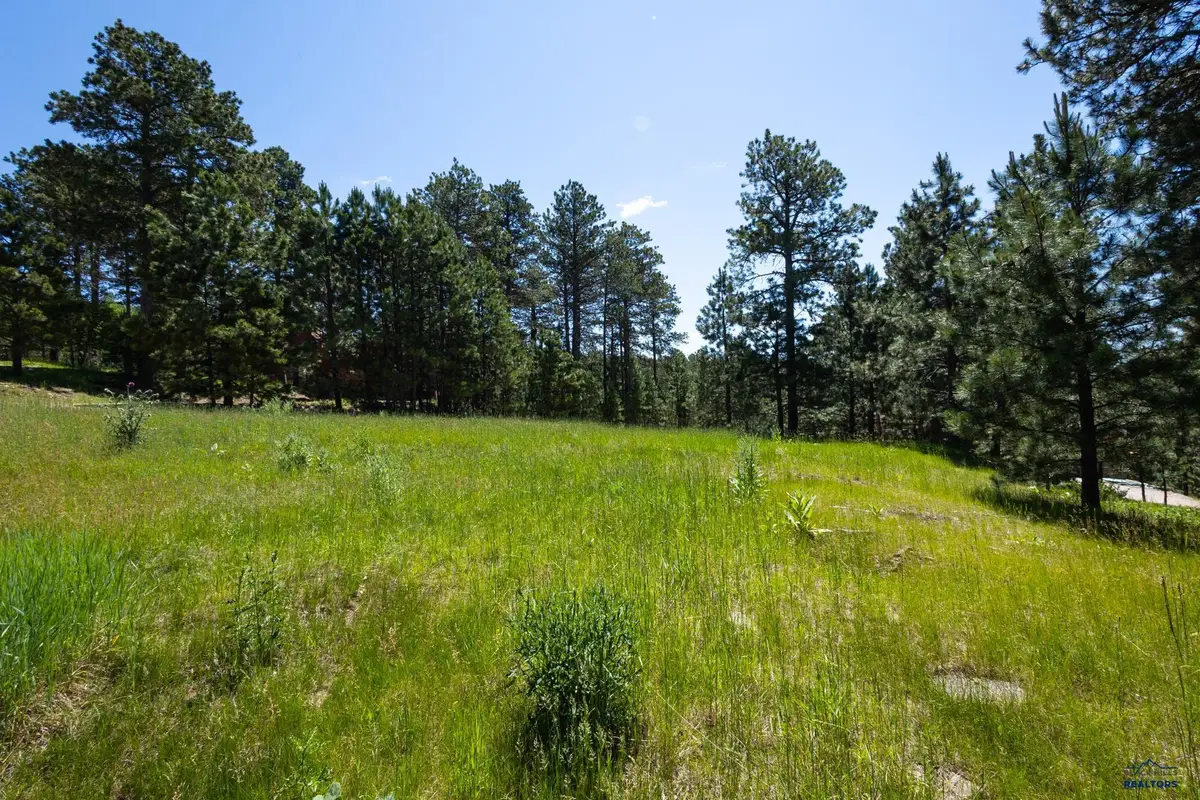 Lot 16 Other, Deadwood, SD 57732 - Image #1