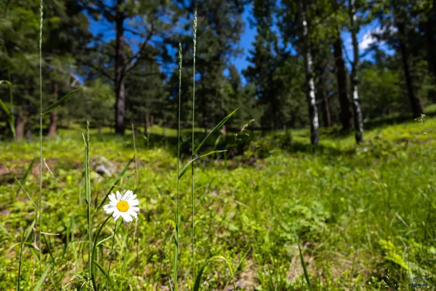 Lot 18 Other, Deadwood, SD 57732 - Image #3