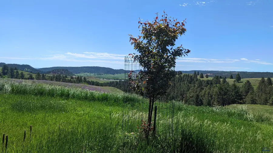 TBD Moon Meadows Dr, Rapid City, SD 57702-5250 - Image #3