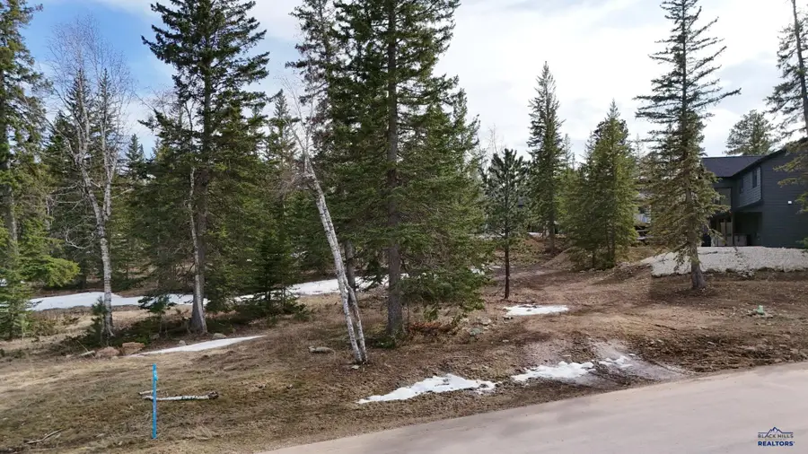Lot 2 Block 8 Woodland Way, Lead, SD 57754-0000 - Image #3