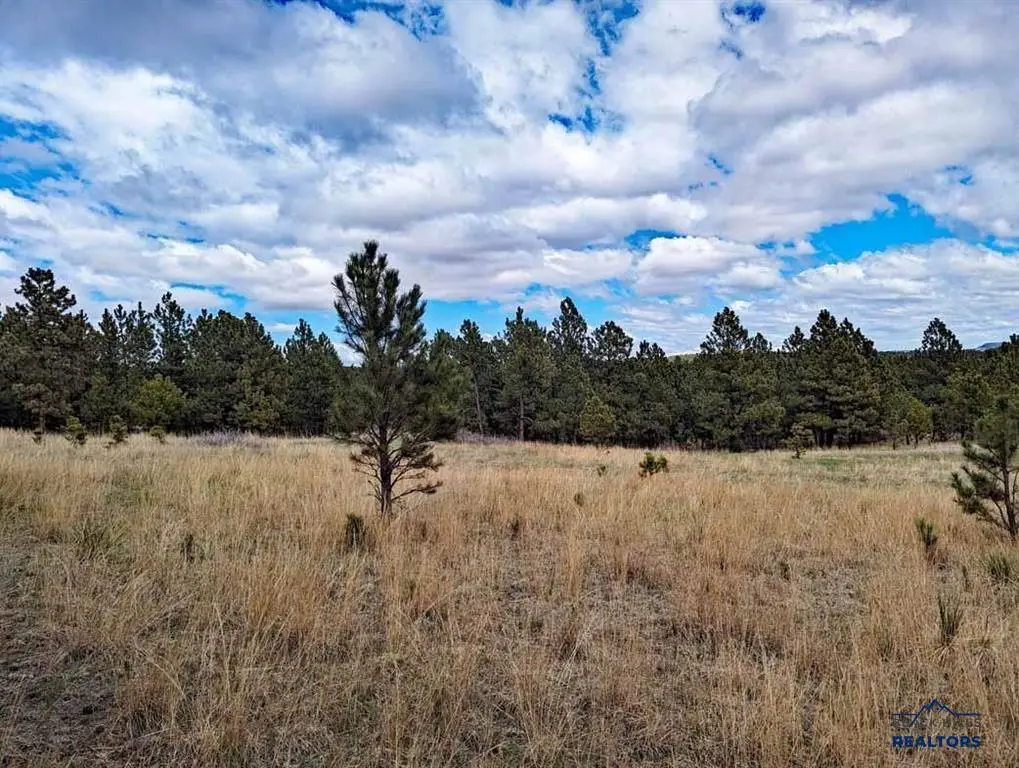 TBD Lot 2 Argyle Rd, Hot Springs, SD 57747 - Image #1