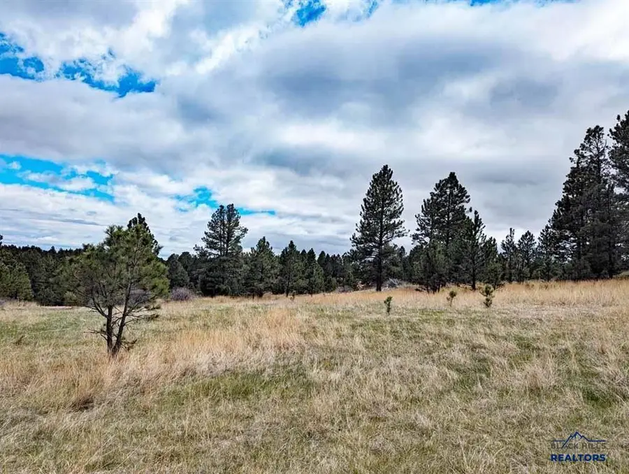 TBD Lot 2 Argyle Rd, Hot Springs, SD 57747 - Image #3