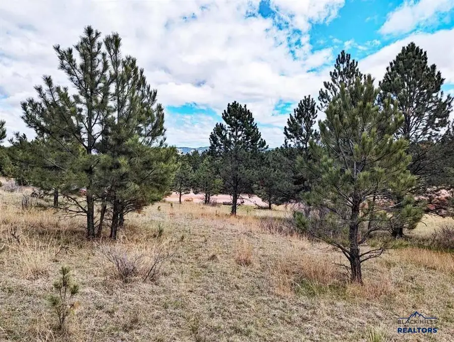 TBD Lot 1 Argyle Rd, Hot Springs, SD 57747 - Image #2