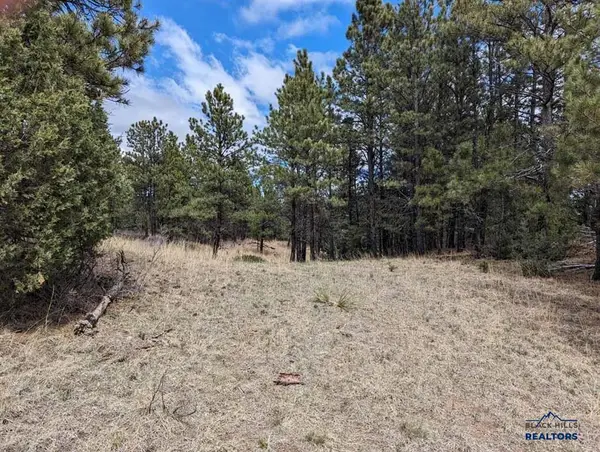 Lot 4 Argyle Rd, Hot Springs, SD 57747