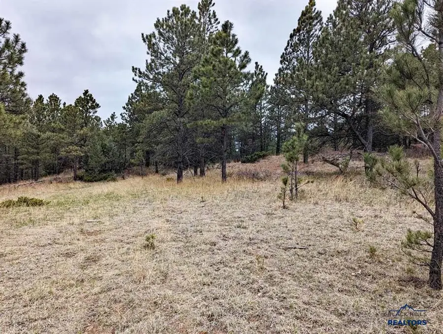 Lot 4 Argyle Rd, Hot Springs, SD 57747 - Image #3