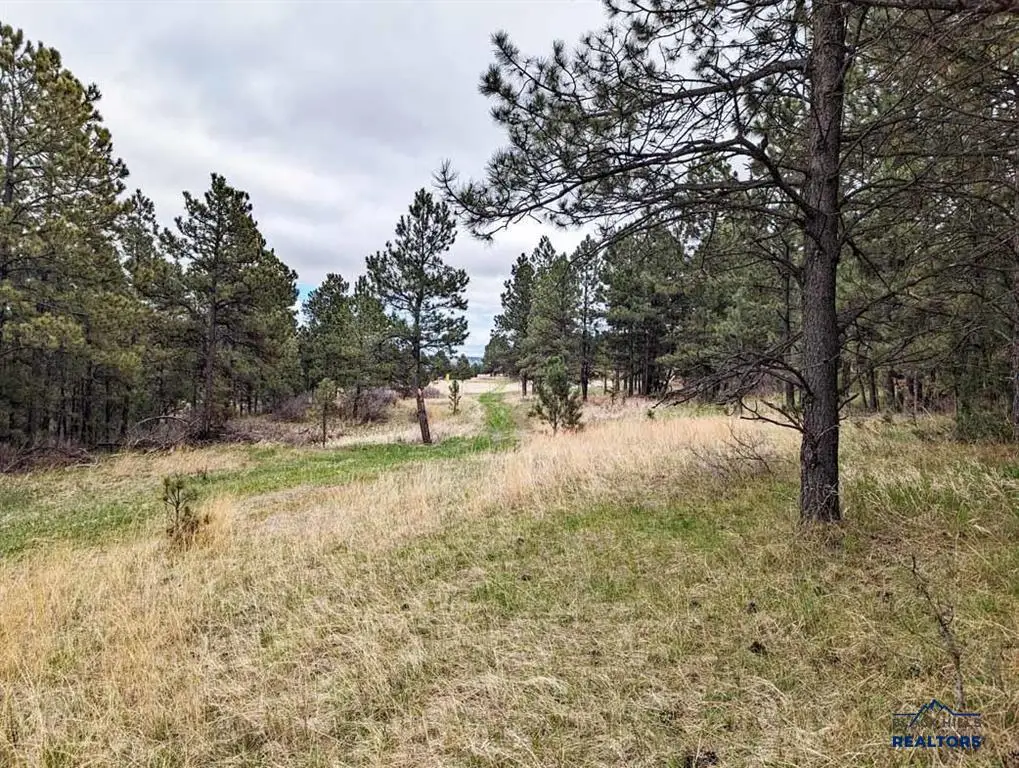 TBD Lot 5 Argyle Rd, Hot Springs, SD 57747 - Image #1