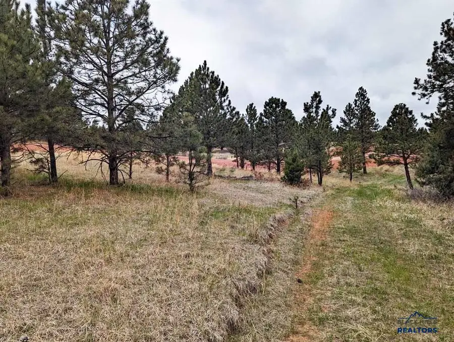 TBD Lot 5 Argyle Rd, Hot Springs, SD 57747 - Image #3