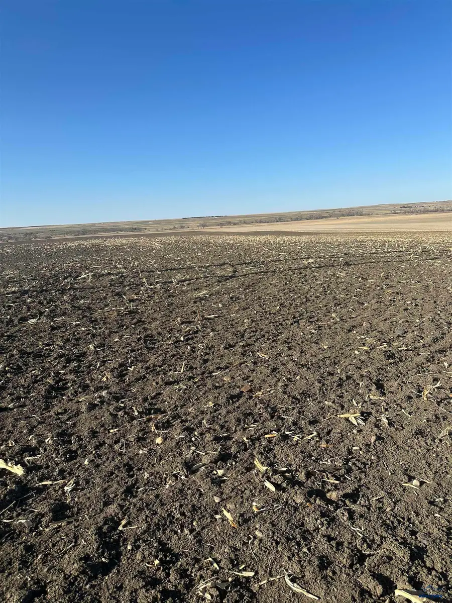 229 TH 229th St, New Underwood, SD 57761 - Image #2