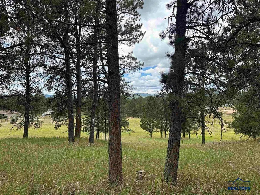 12127 Chickadee Ln, Custer, SD 57730 - Image #3