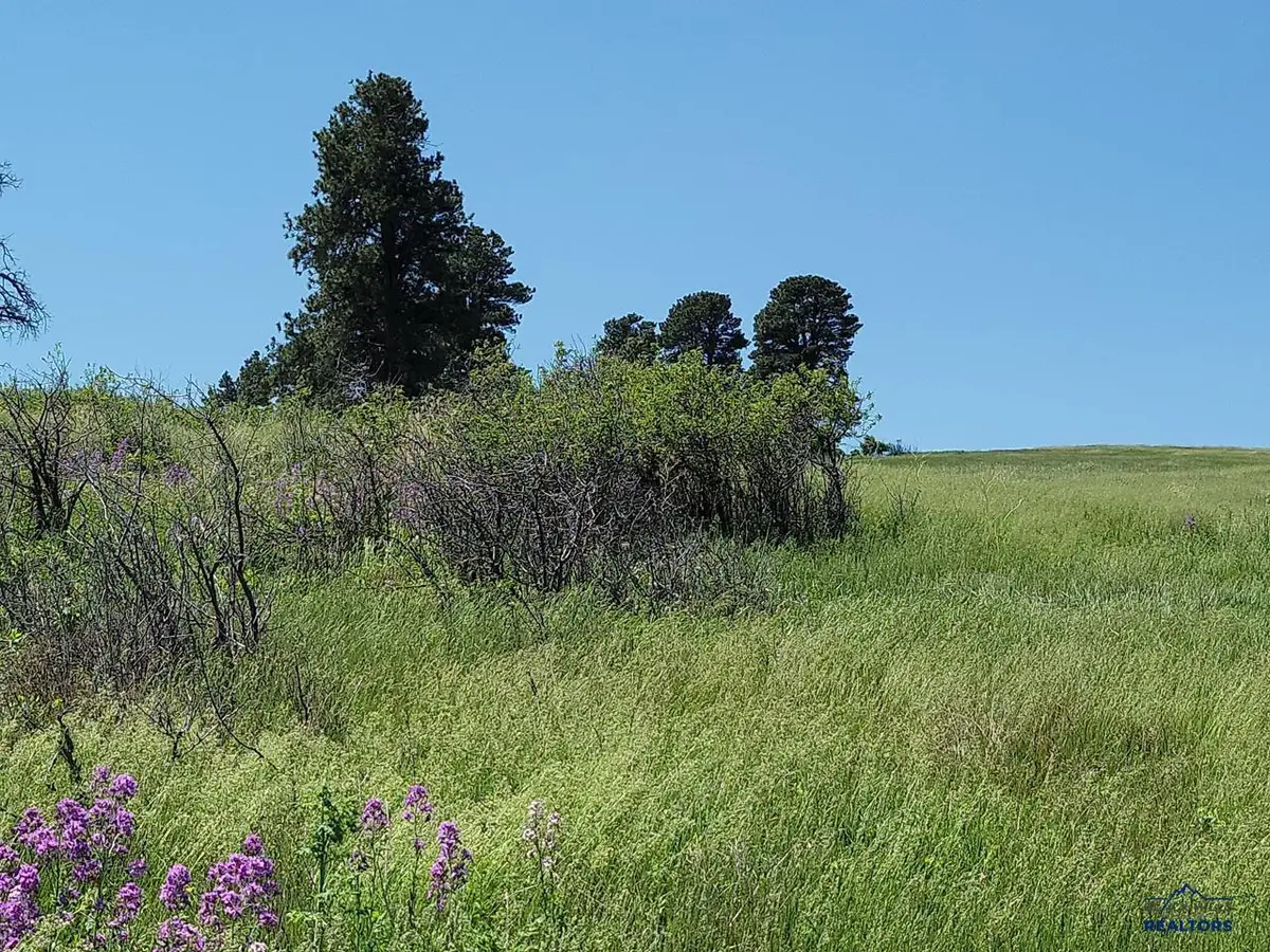 TBD Other, Spearfish, SD 57783 - Image #1