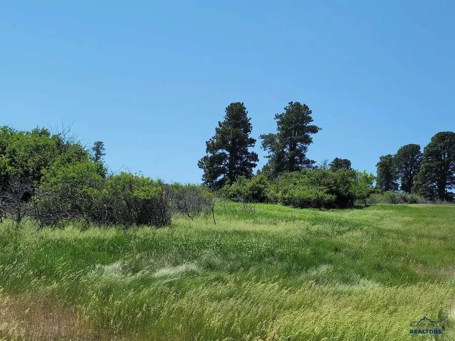 TBD Other, Spearfish, SD 57783 - Image #2