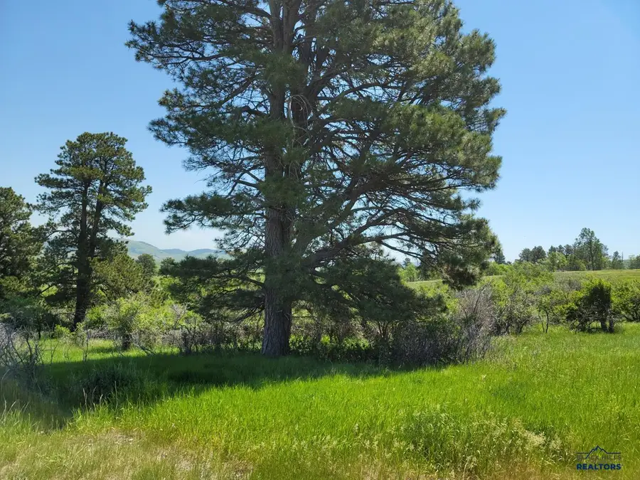 TBD Other, Spearfish, SD 57783 - Image #3