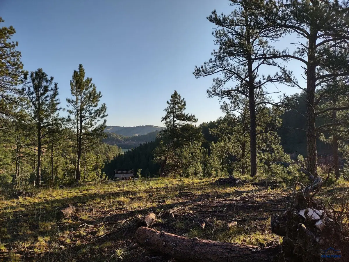 24618 Saddle Ridge, Hermosa, SD 57744 - #1