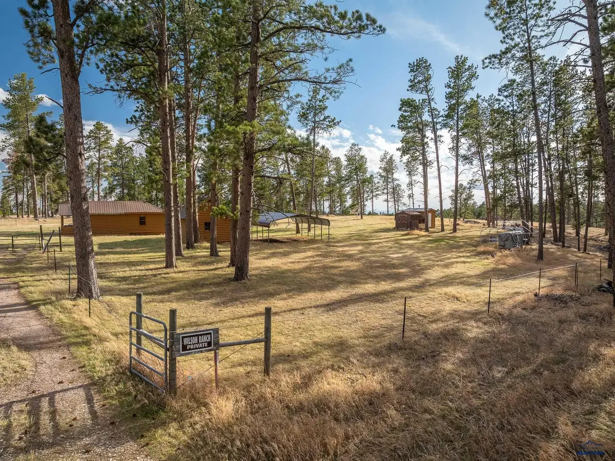10545 Custer Limestone Rd, Custer, SD 57730 - #1