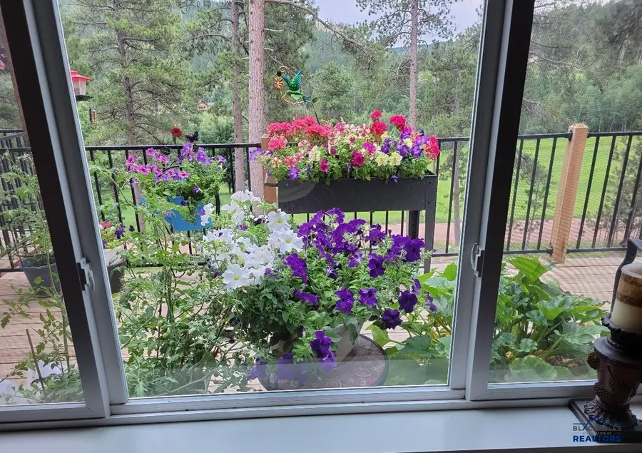 11806 St Ambrose Ct, South Lawrence, SD 57785 - Image #3