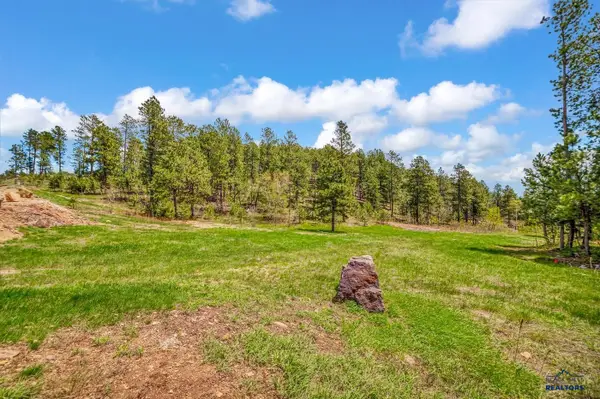 TBD Maitland Rd, Lead, SD 57754