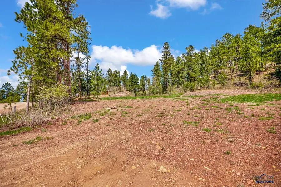 Lot 78 Maitland Rd, Lead, SD 57754 - #2