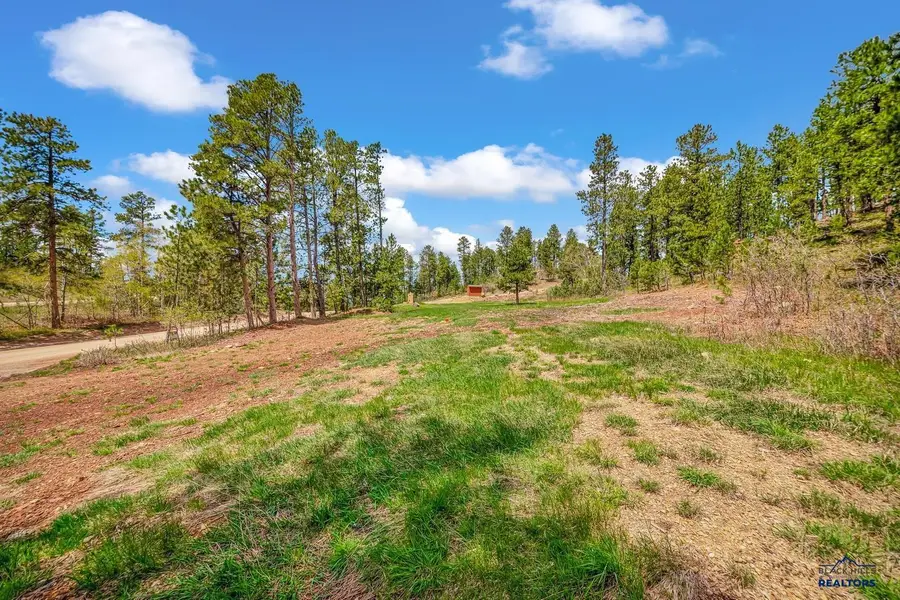 Lot 78 Maitland Rd, Lead, SD 57754 - #3
