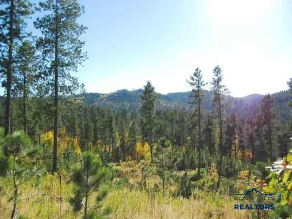 Lot 16 Dynasty Rd, Lead, SD 57754