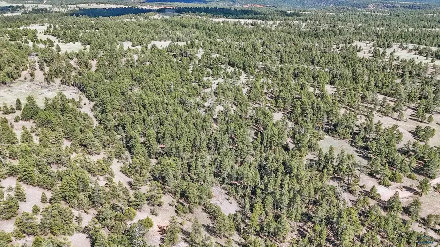 tbd 20 Mile Rd, Custer, SD 57730 - Image #3