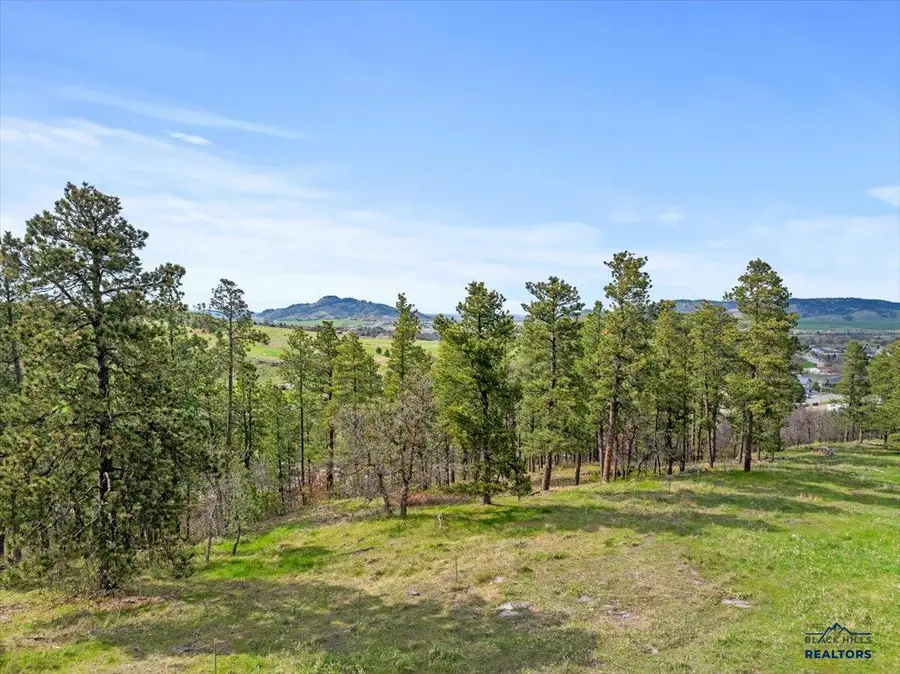 TBD Maitland Rd, Spearfish, SD 57783 - #2