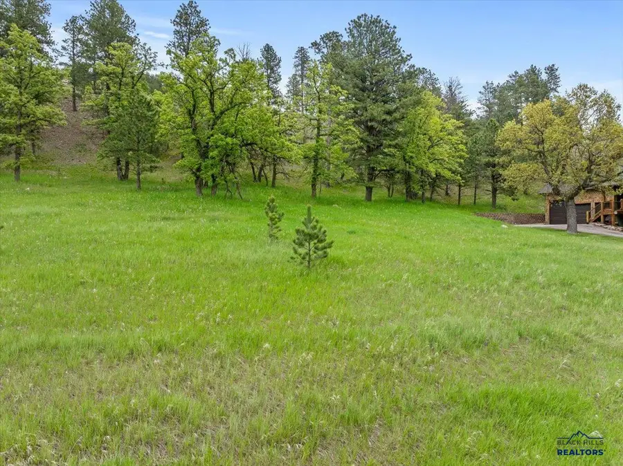 Lot 5 blk 12 Apple Springs Blvd, Sturgis, SD 57785-0000 - Image #3