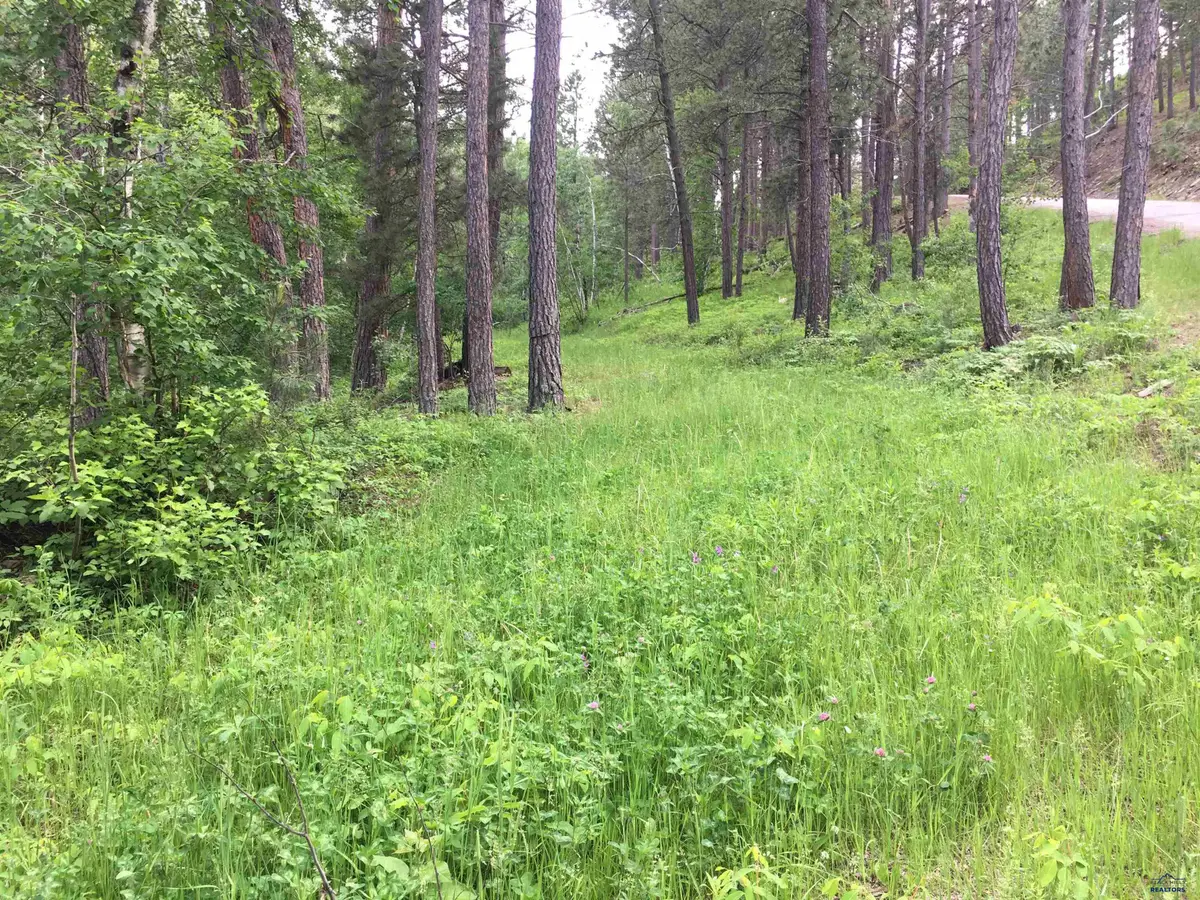 0 Danube Ln, Rapid City, SD 57701-2515 - Image #1