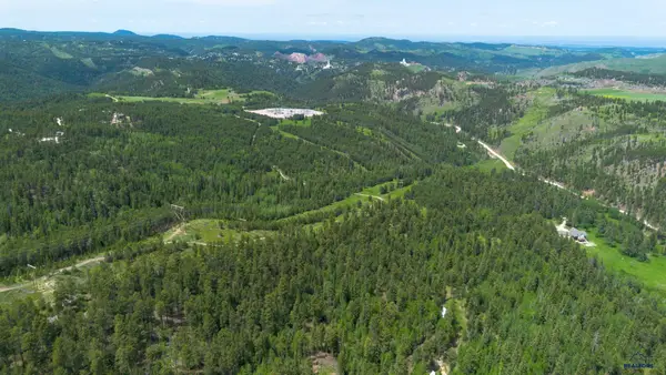 88.9 Acres Wasp Rd, Lead, SD 57754