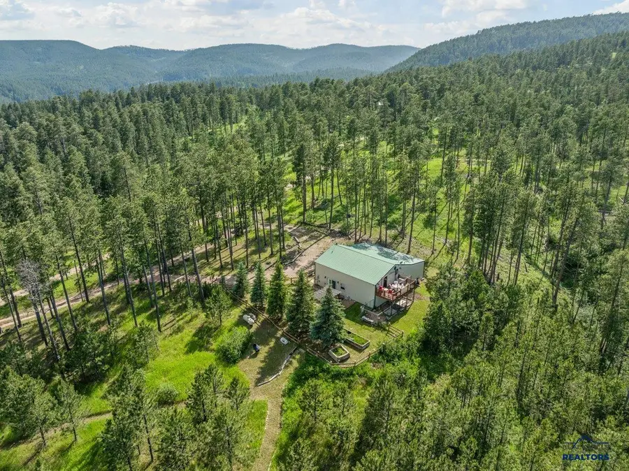 12874 Homer Smith Rd, Piedmont, SD 57769 - Image #3