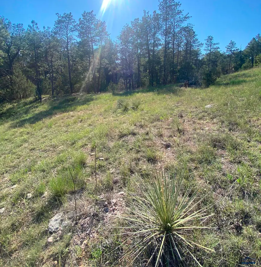 lot GC-57 Sandpiper Dr, Hot Springs, SD 57745 - Image #3