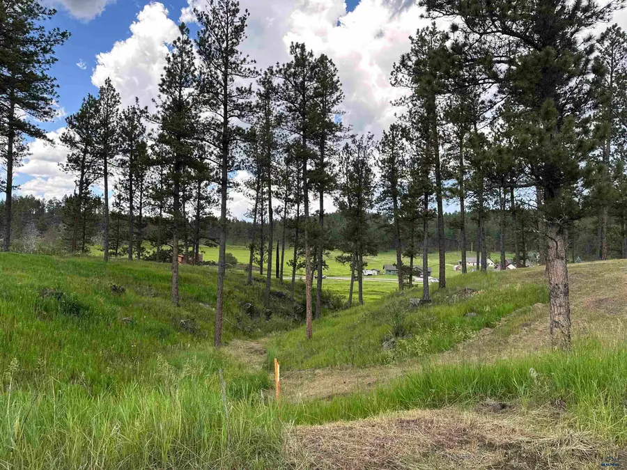 Blk 7 Lot 4 Other, Hill City, SD 57745 - Image #2