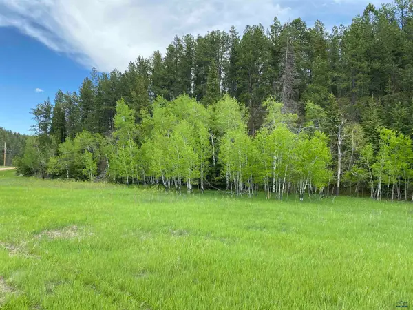 Lot 5 Block 2 Benchmark Rd, Nemo, SD 57759