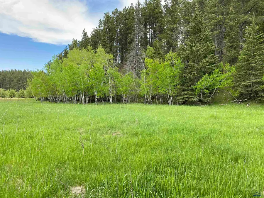 Lot 5 Block 2 Benchmark Rd, Nemo, SD 57759 - Image #2