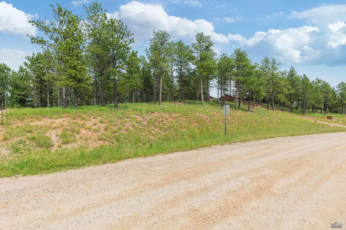 TBD Borglum Rd, Keystone, SD 57751 - Image #1