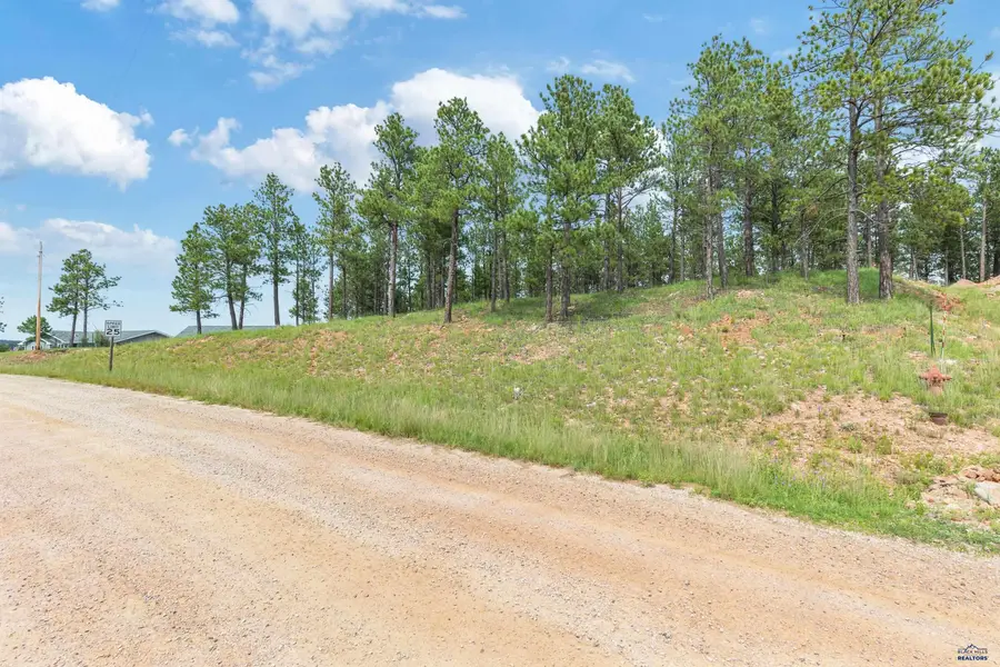 TBD Borglum Rd, Keystone, SD 57751 - Image #2