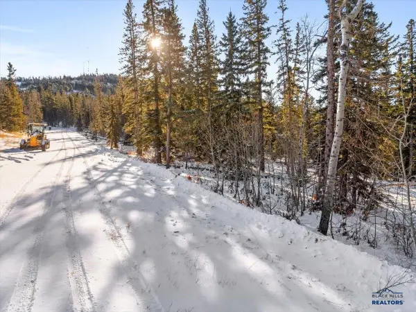 Lot 2 Block 1 Lost Camp Trail, Lead, SD 57754