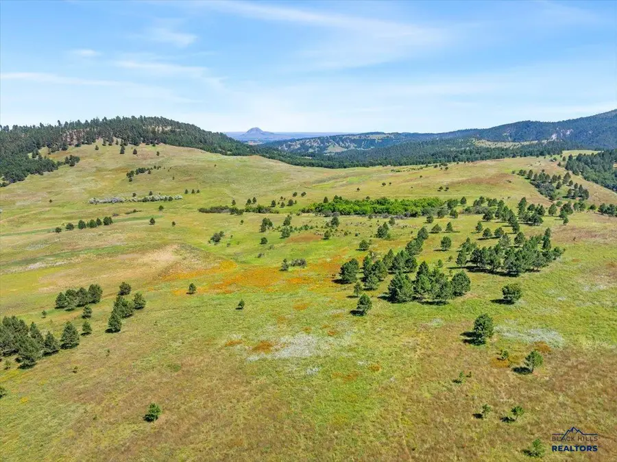 149.82+/- Acres Other, Whitewood, SD 57793 - Image #3