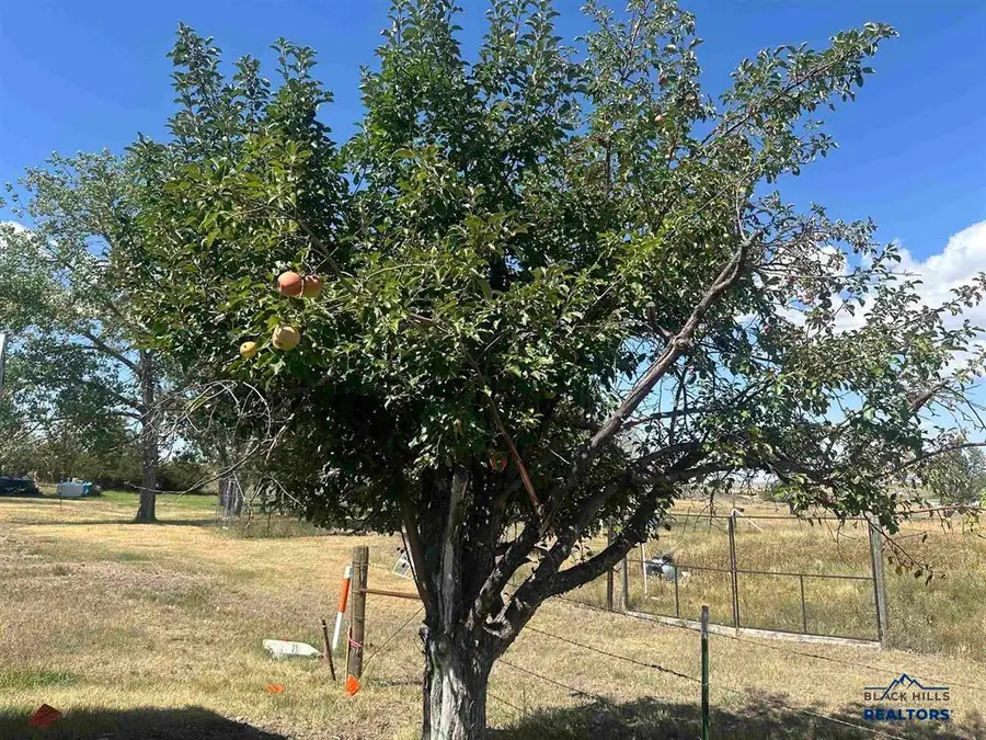 1104 C Street, Edgemont, SD 57735 - #3