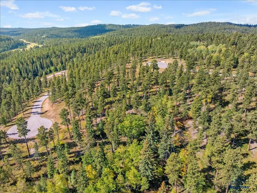 Lot 9 Other, Lead, SD 57754 - Image #3