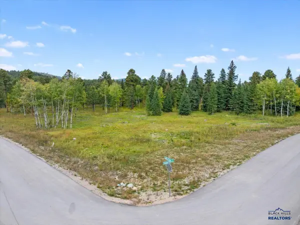 Lot 4 Other, Lead, SD 57754