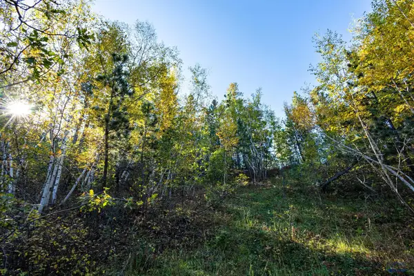 Lot 17 Dynasty Rd, Lead, SD 57754