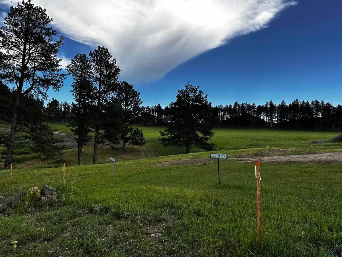 Blk 6 Lot 9 Other, Hill City, SD 57745 - #1