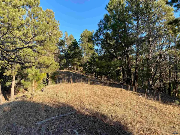 7B Kissack Rd, Whitewood, SD 57793