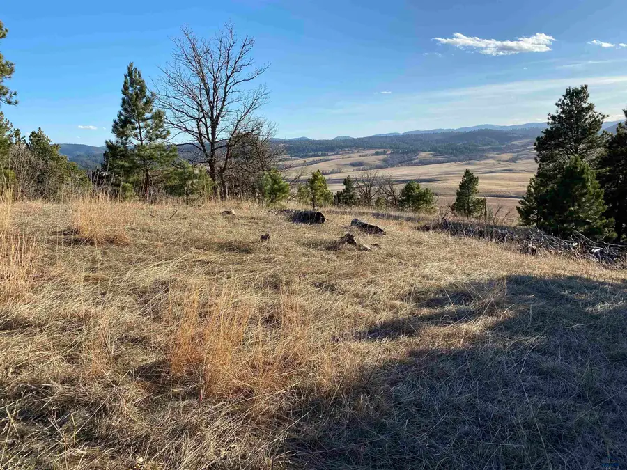 7B Kissack Rd, Whitewood, SD 57793 - Image #2