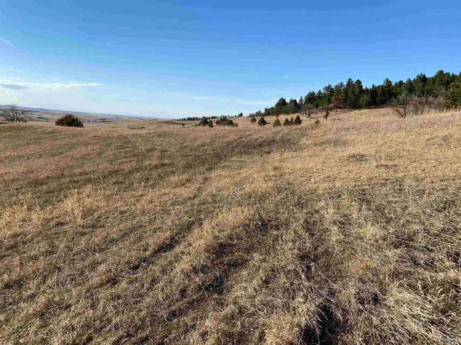 7B Kissack Rd, Whitewood, SD 57793 - Image #3