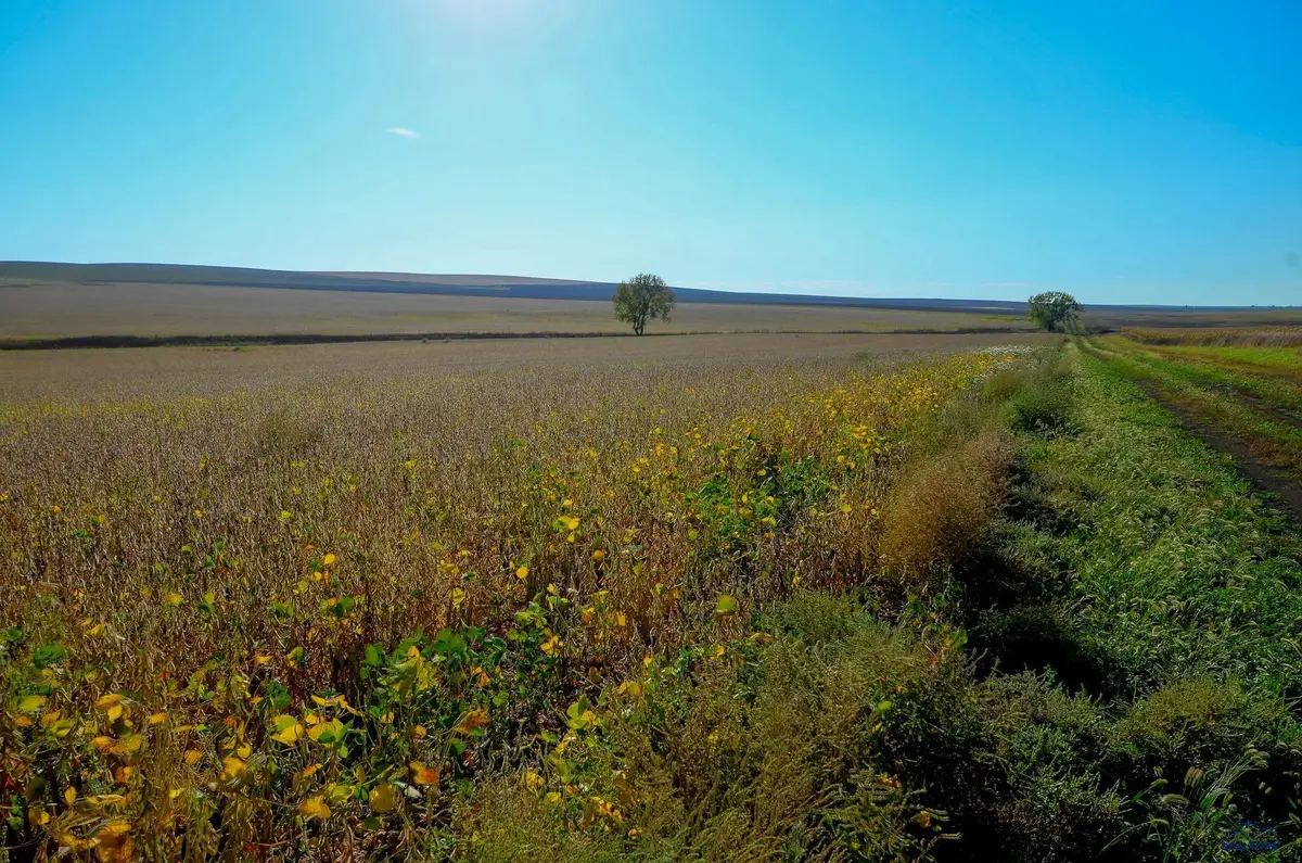 160 AC 236th St, Kennebec, SD 57544 - Image #1