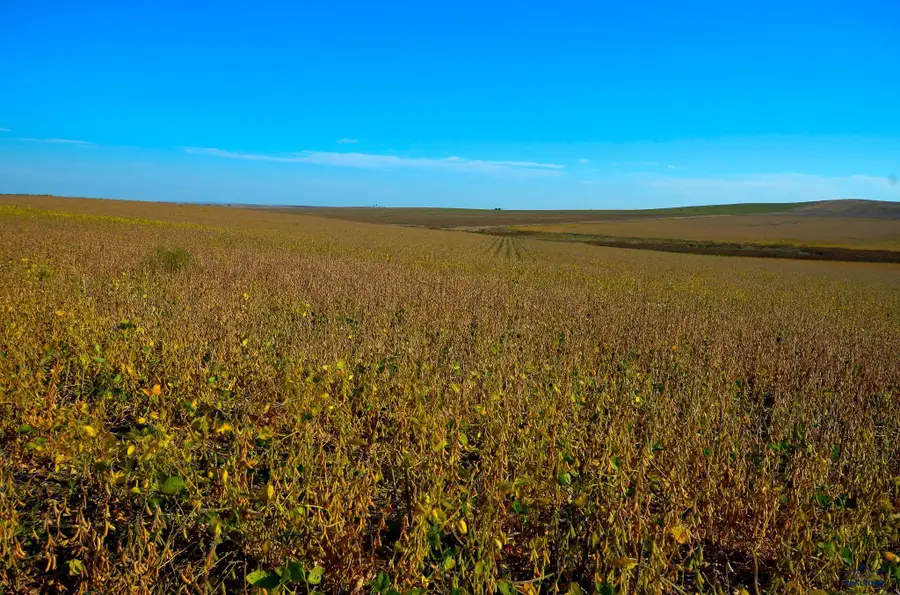 160 AC 236th St, Kennebec, SD 57544 - Image #2