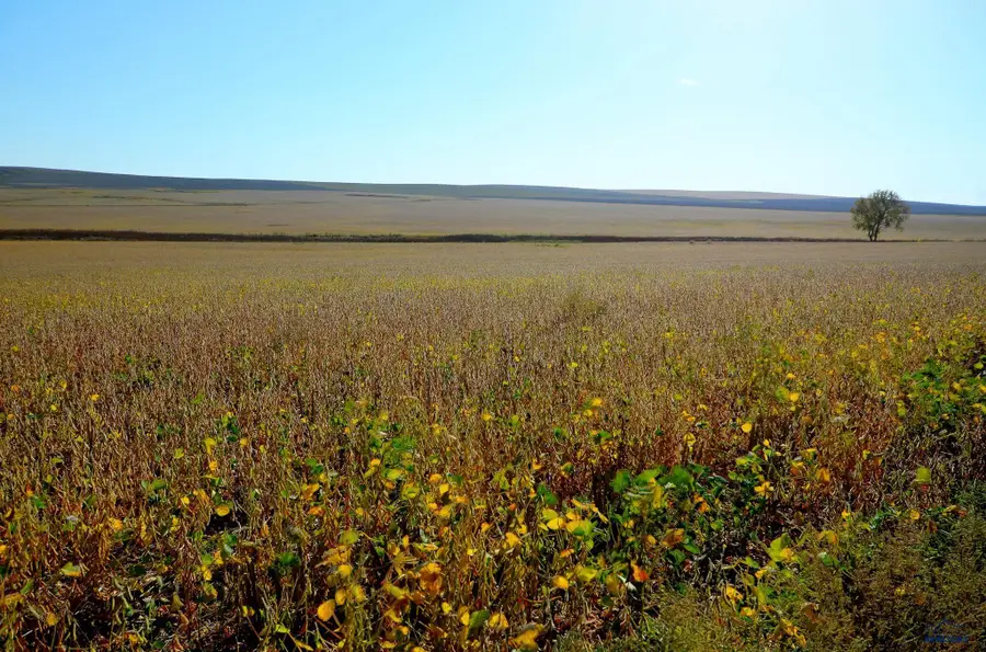 160 AC 236th St, Kennebec, SD 57544 - Image #3