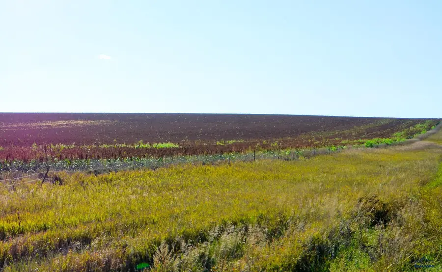 160 AC 238th St, Kennebec, SD 57544 - Image #2